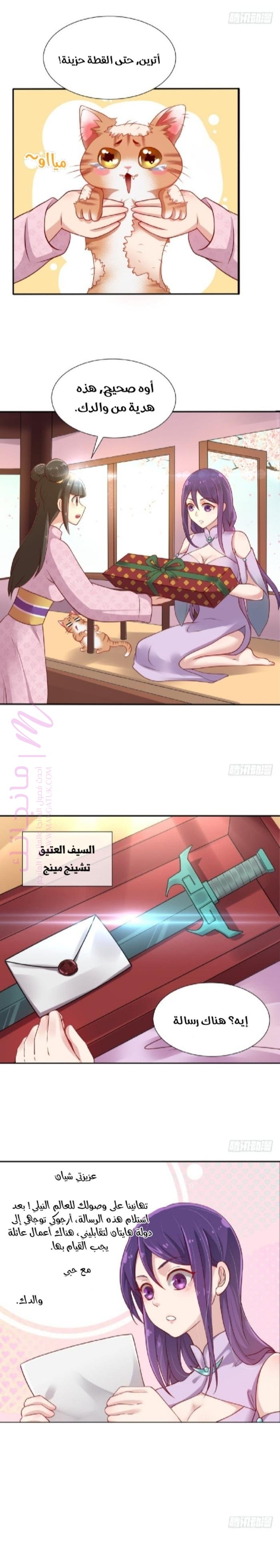 الصفحة 17