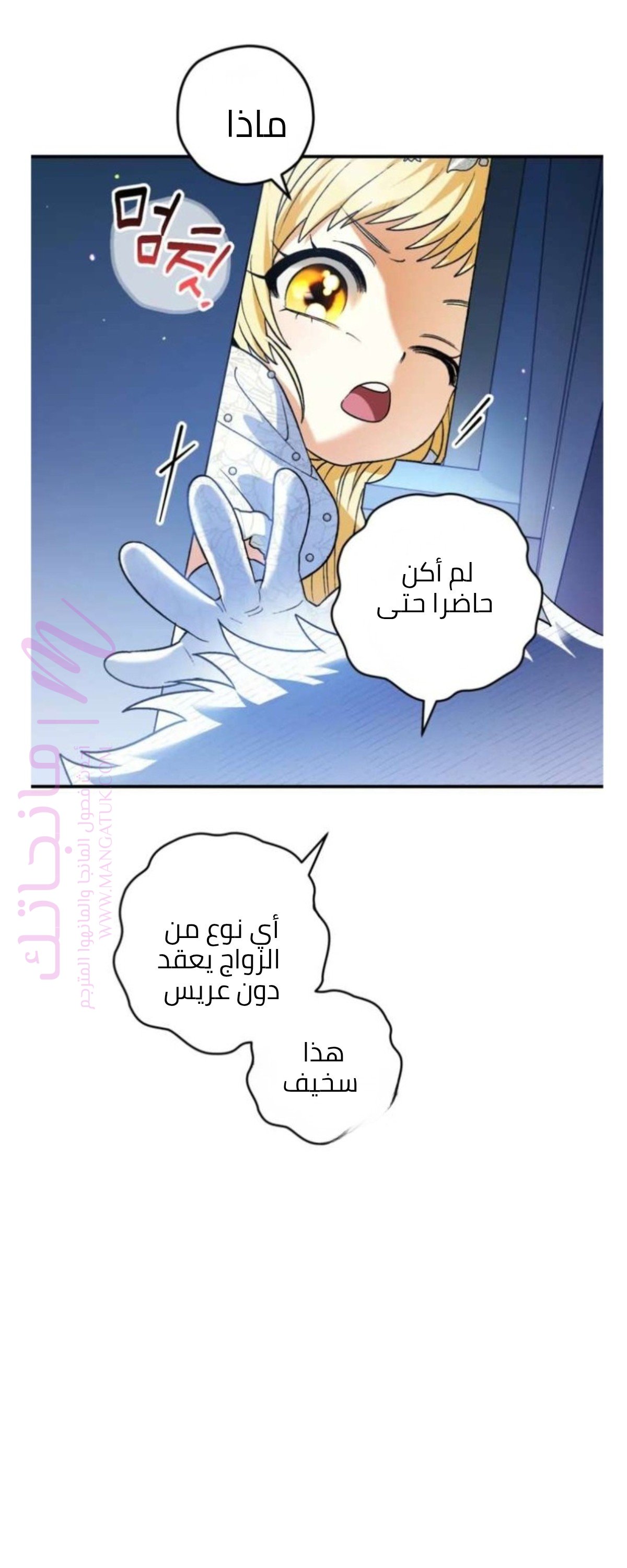 الصفحة 19