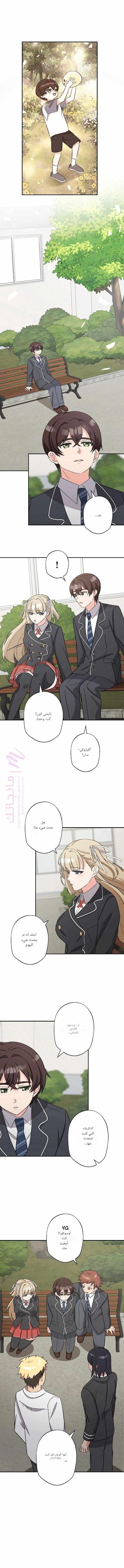 الصفحة 13