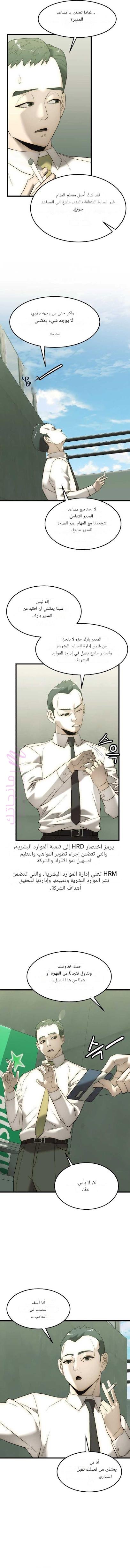 الصفحة 3
