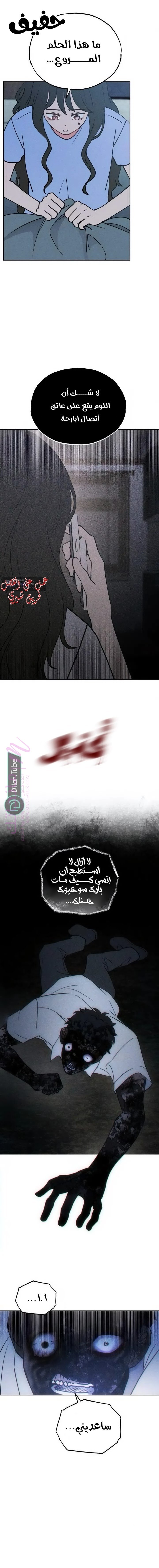 الصفحة 2