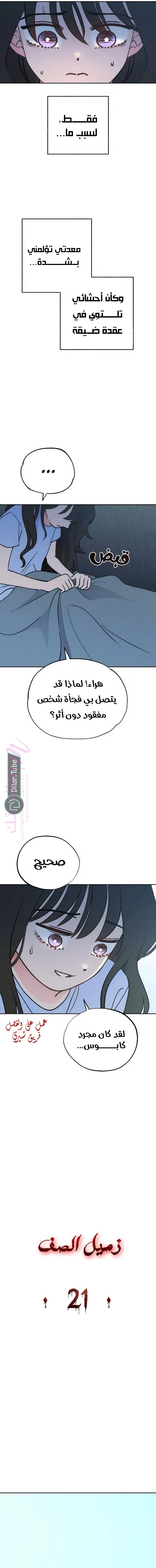 الصفحة 3