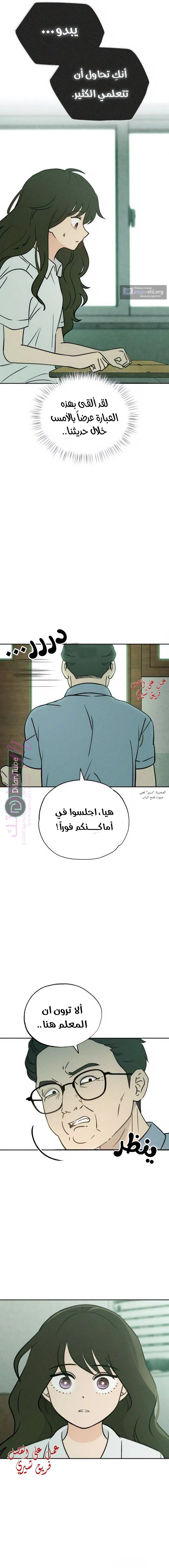 الصفحة 8