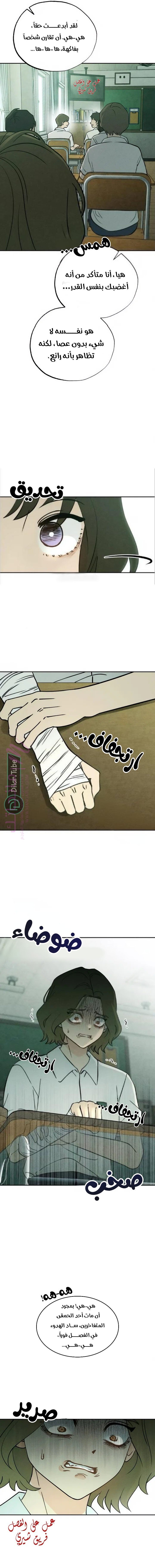 الصفحة 11