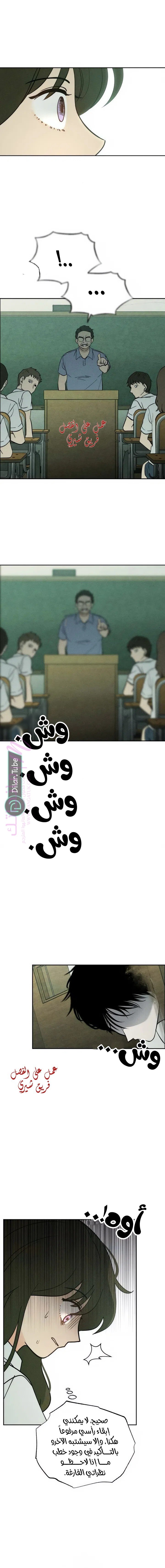 الصفحة 13