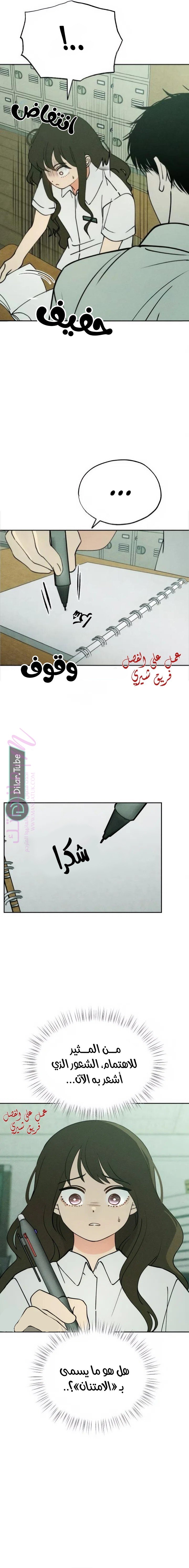 الصفحة 16