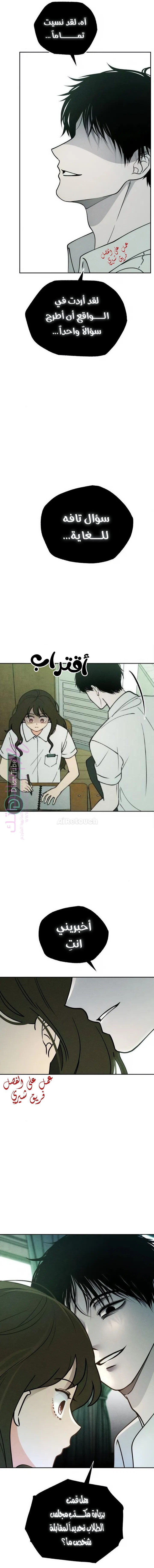 الصفحة 17