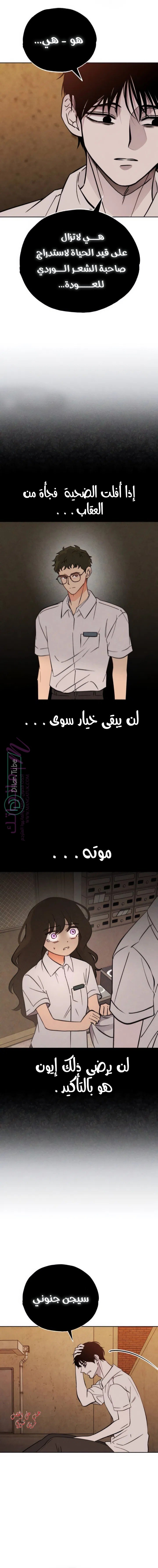 الصفحة 7