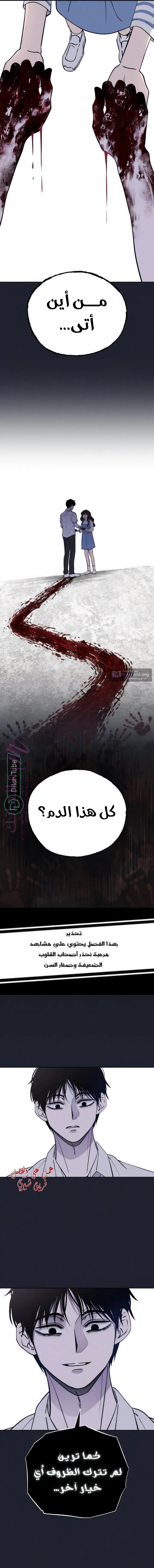 الصفحة 11