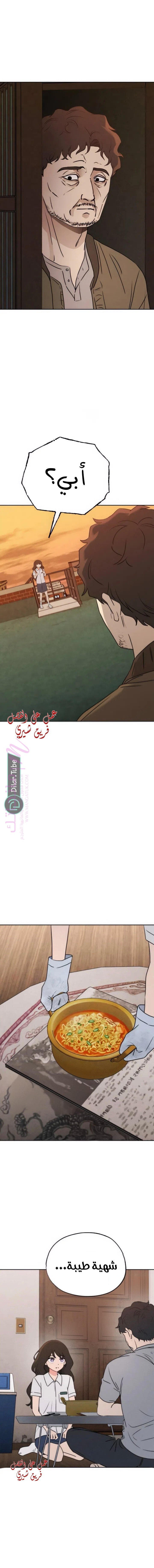 الصفحة 19