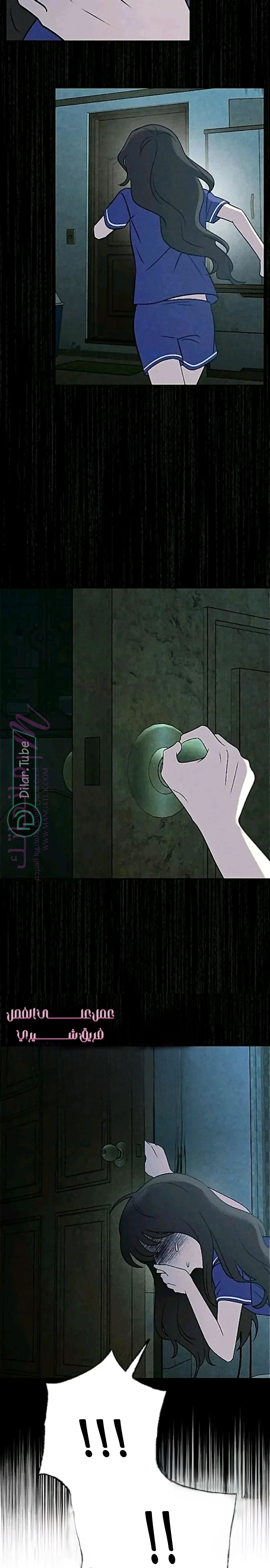 الصفحة 13
