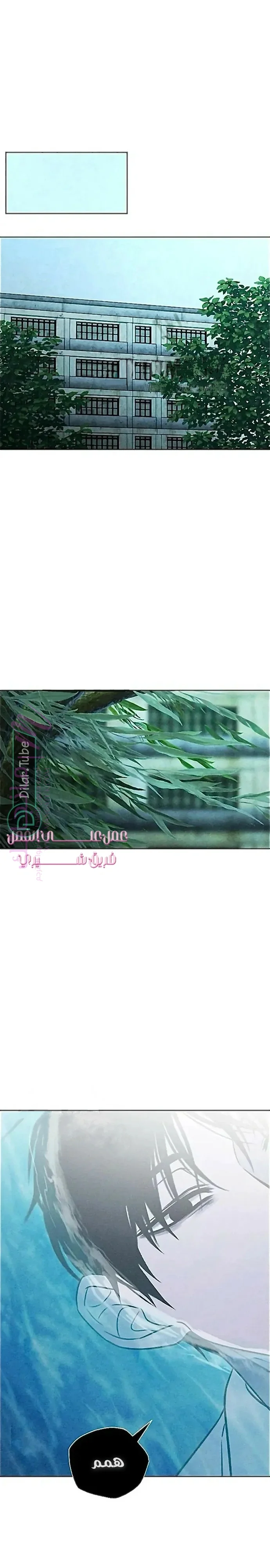 الصفحة 17