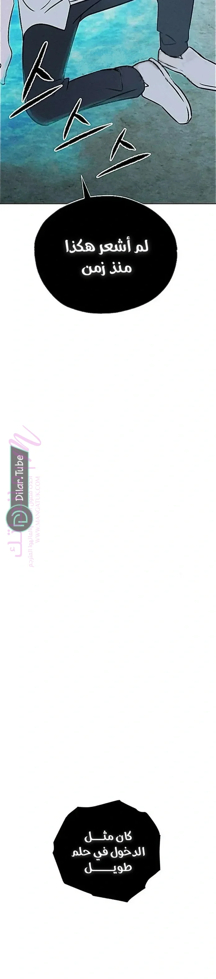 الصفحة 19