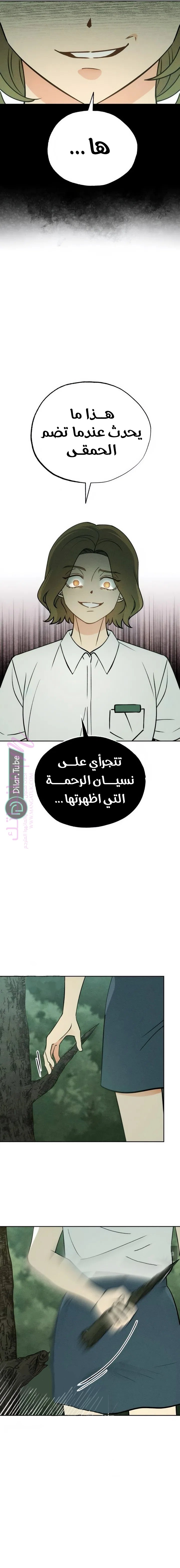 الصفحة 2