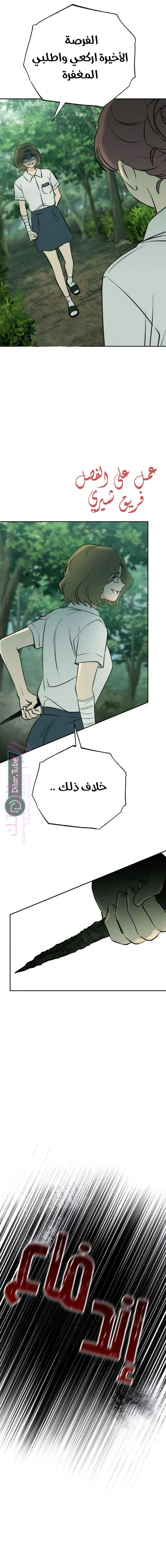 الصفحة 3