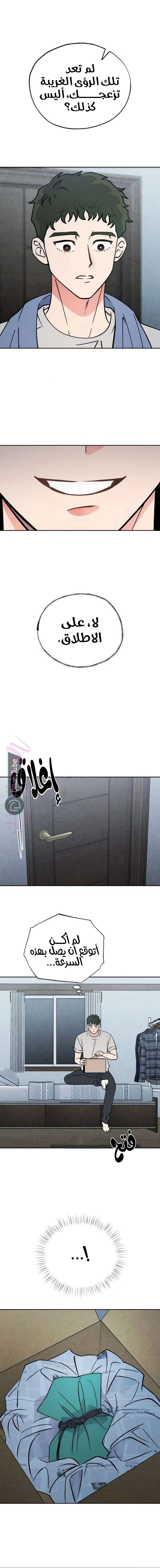 الصفحة 15