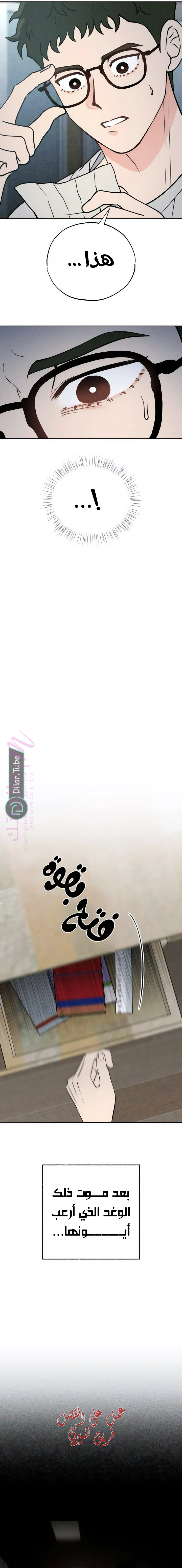 الصفحة 17