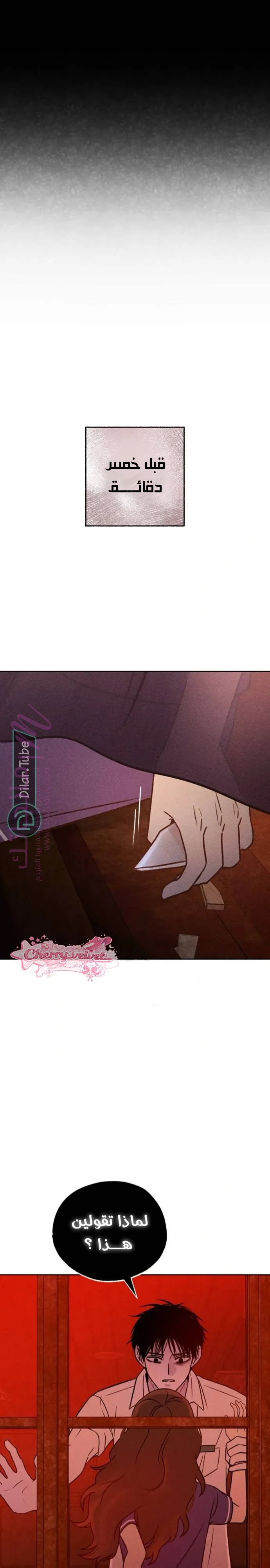 الصفحة 3