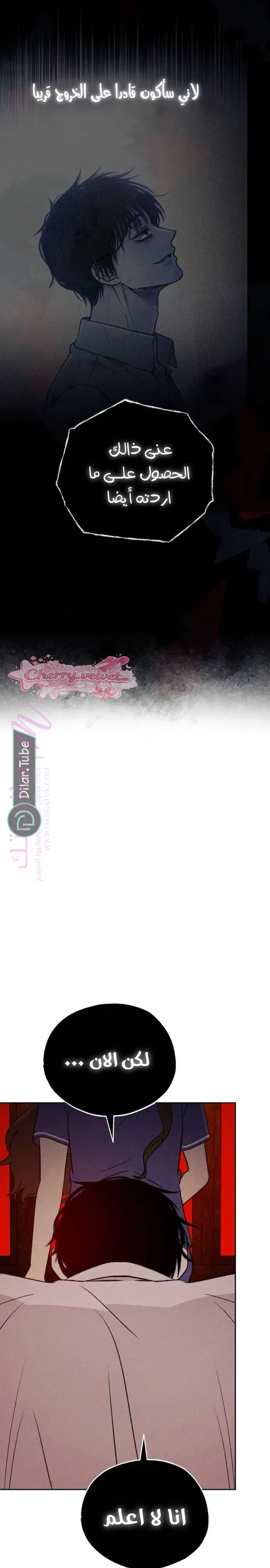 الصفحة 11
