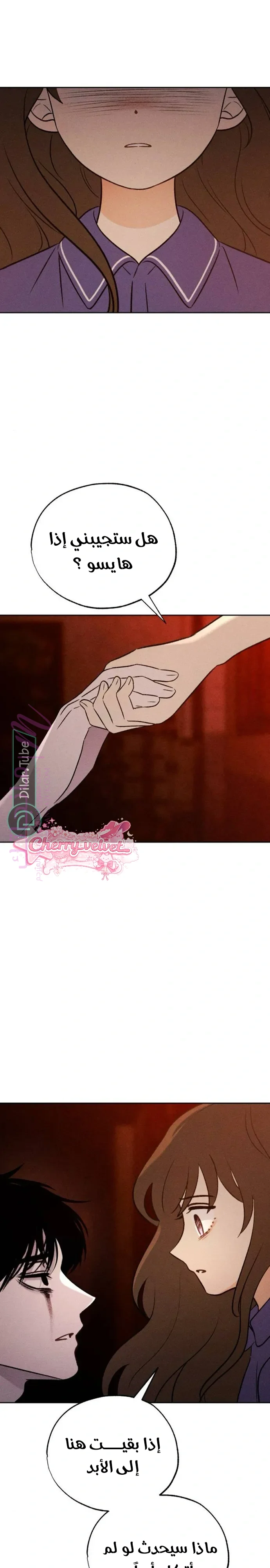 الصفحة 15