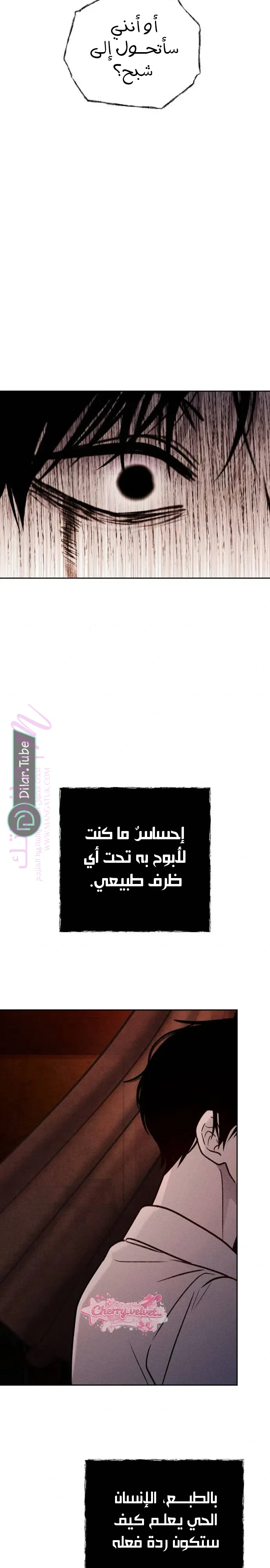 الصفحة 17