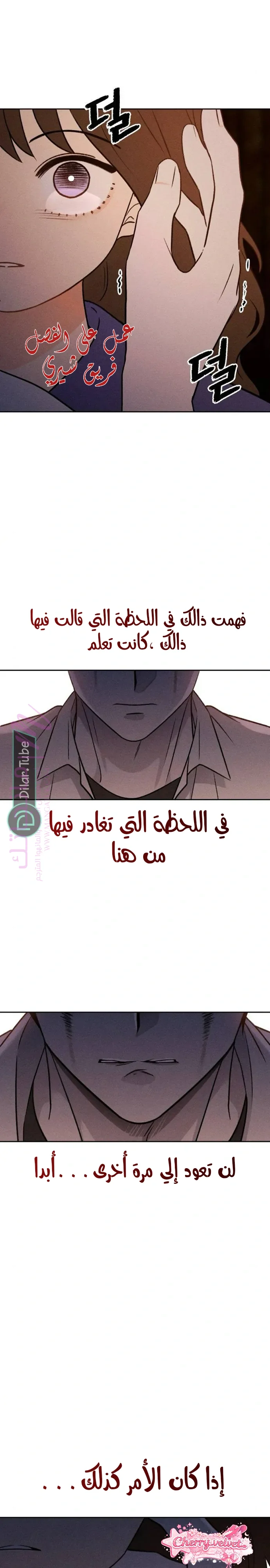 الصفحة 20