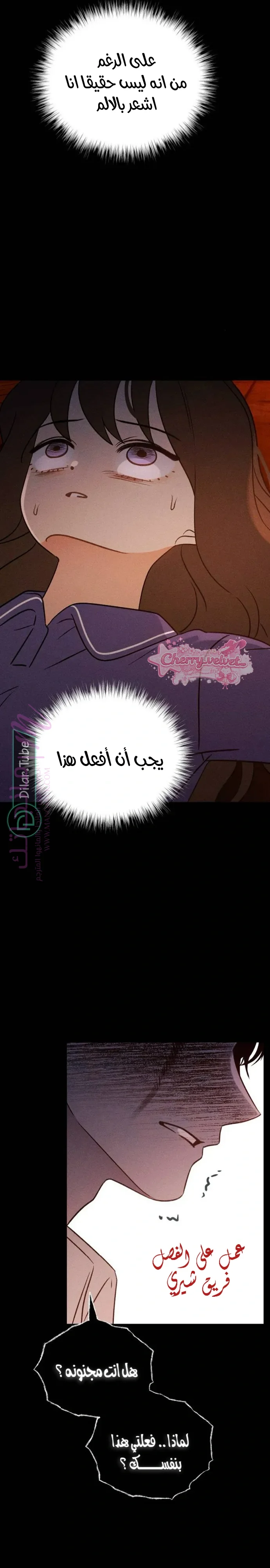 الصفحة 26