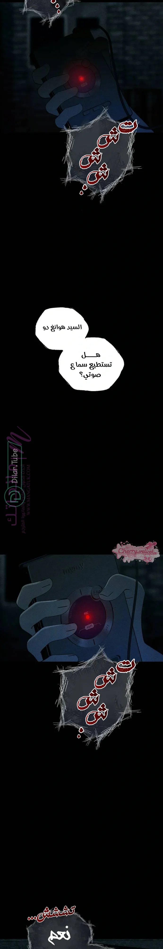 الصفحة 38