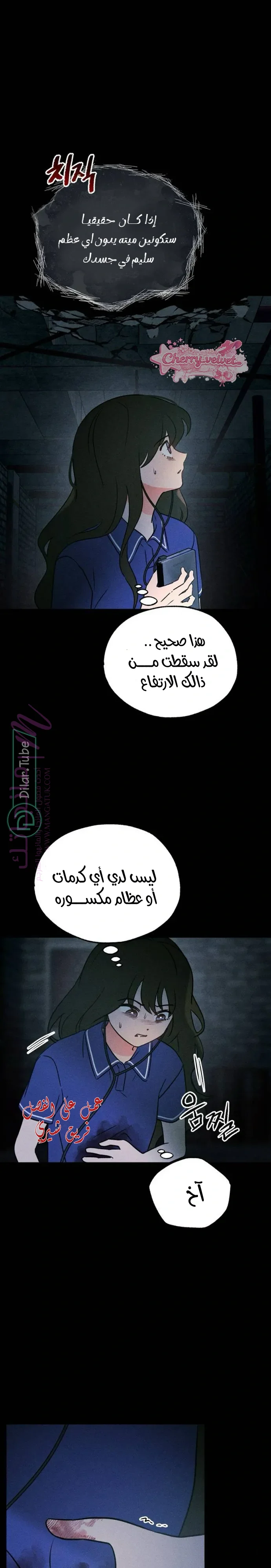 الصفحة 41