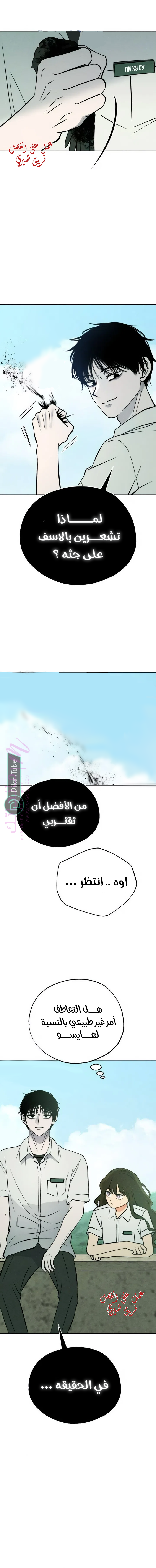 الصفحة 2