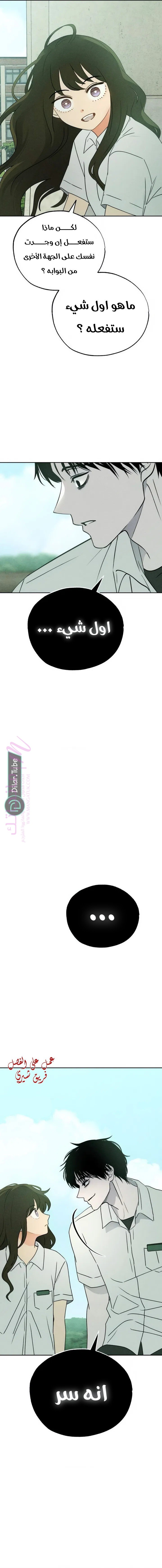 الصفحة 13