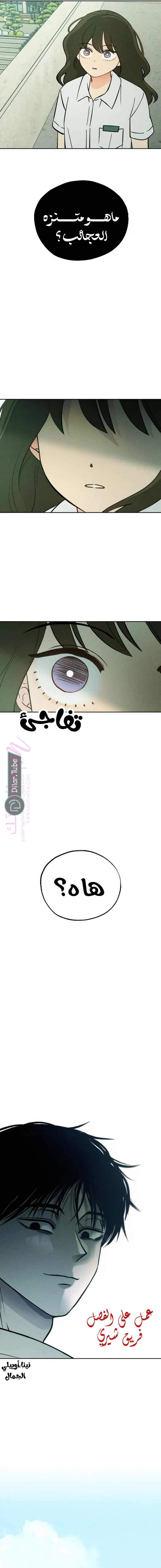 الصفحة 19