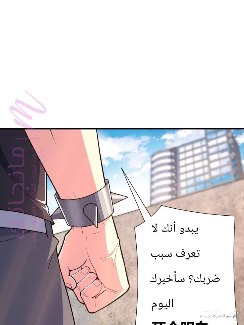الصفحة 29