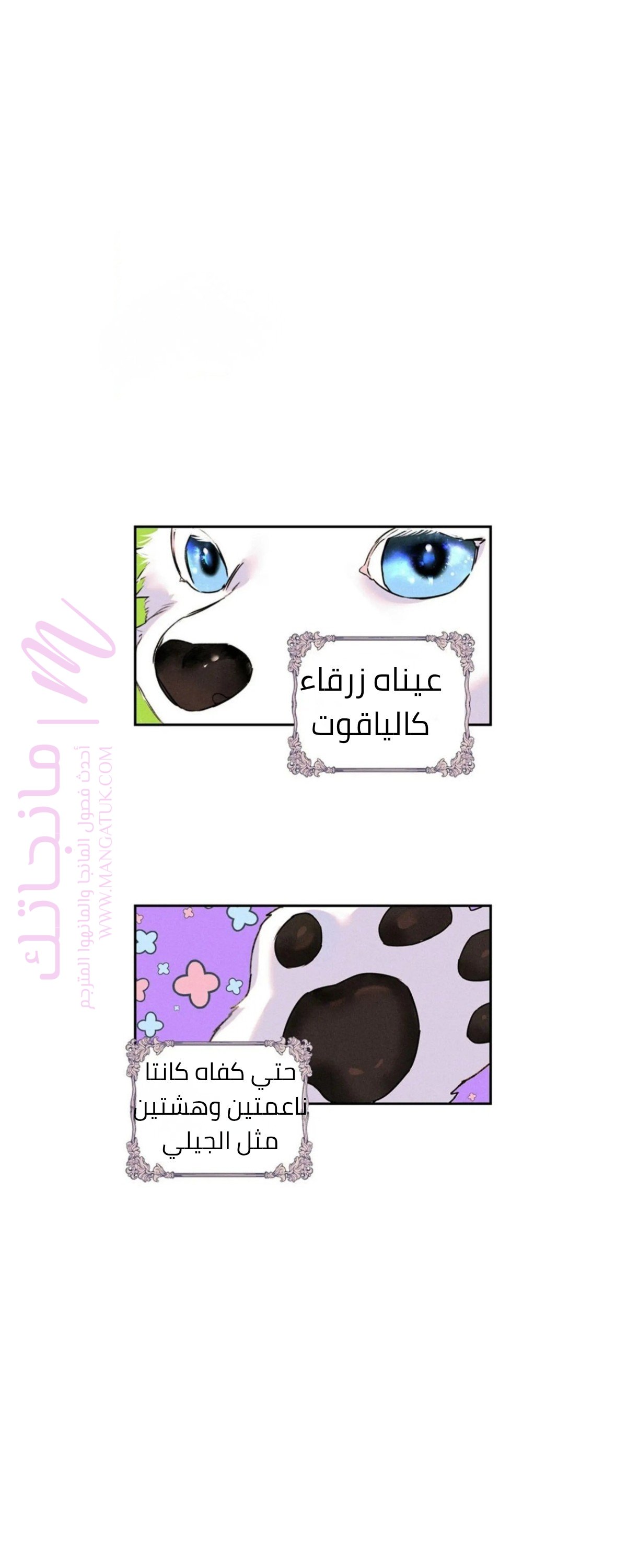 الصفحة 21