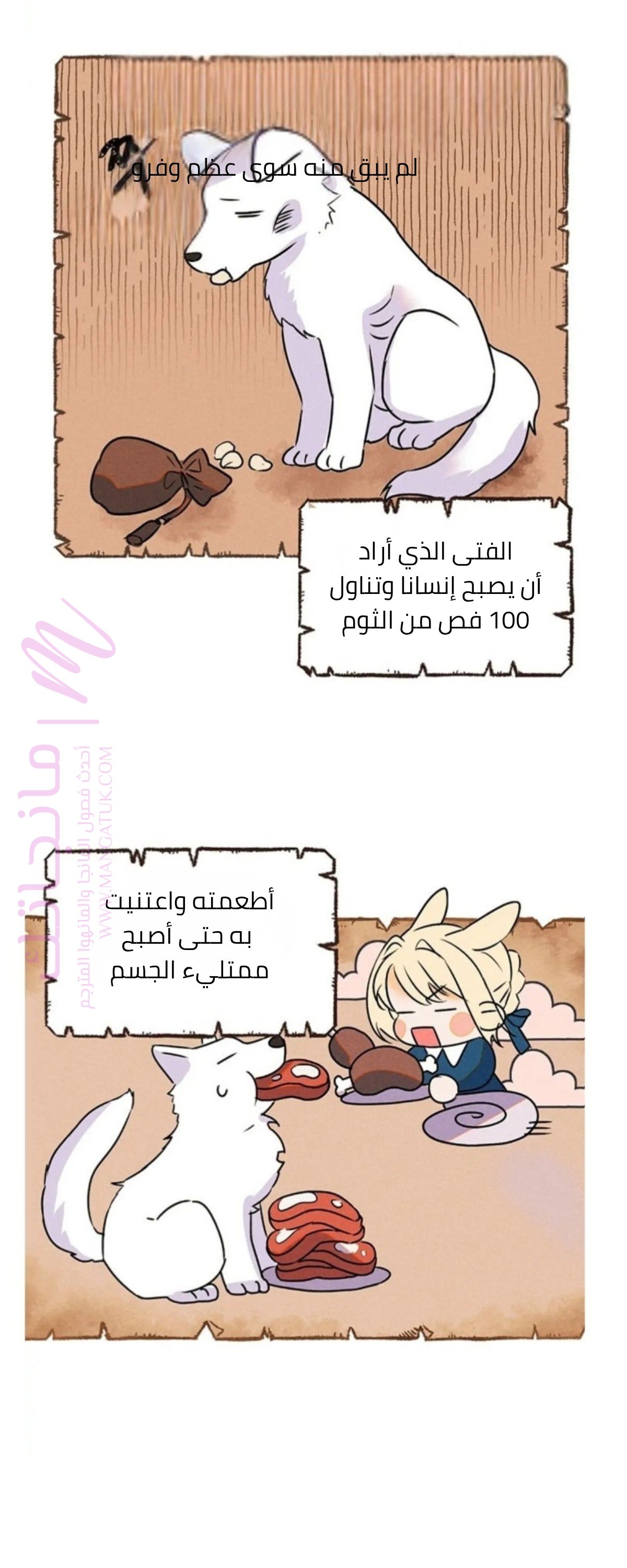 الصفحة 23