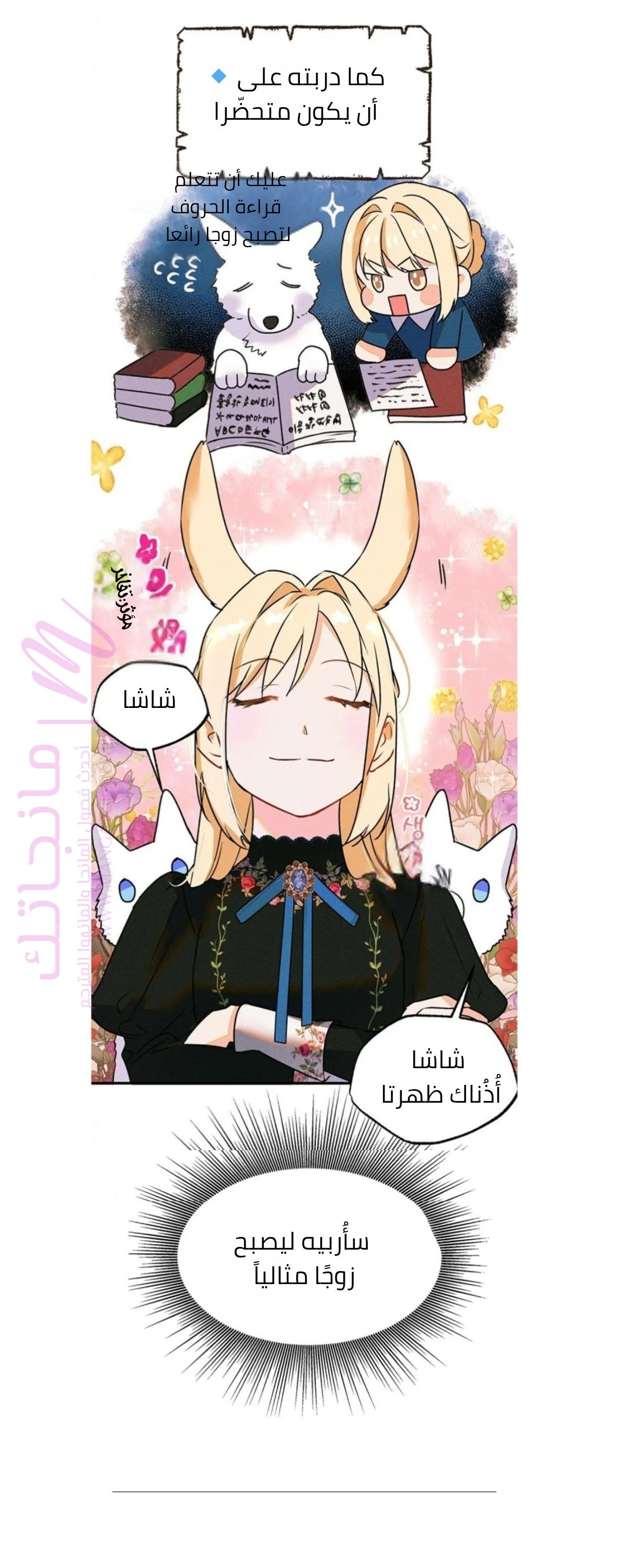 الصفحة 24