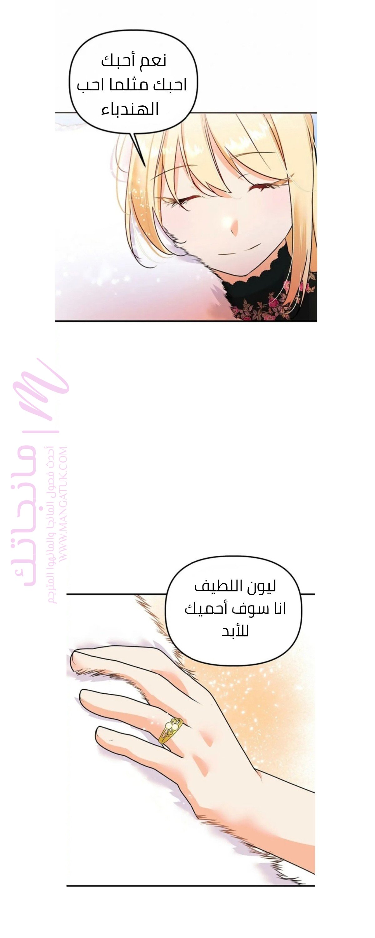 الصفحة 26