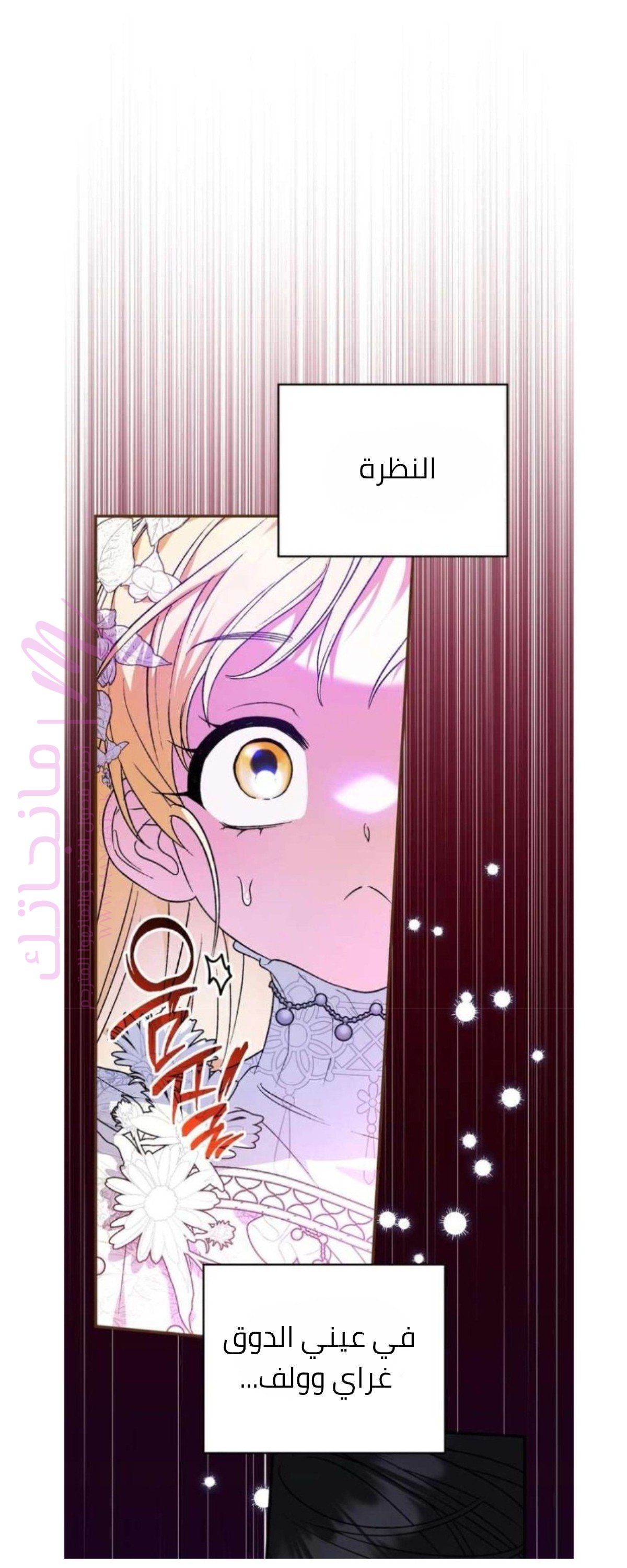 الصفحة 35