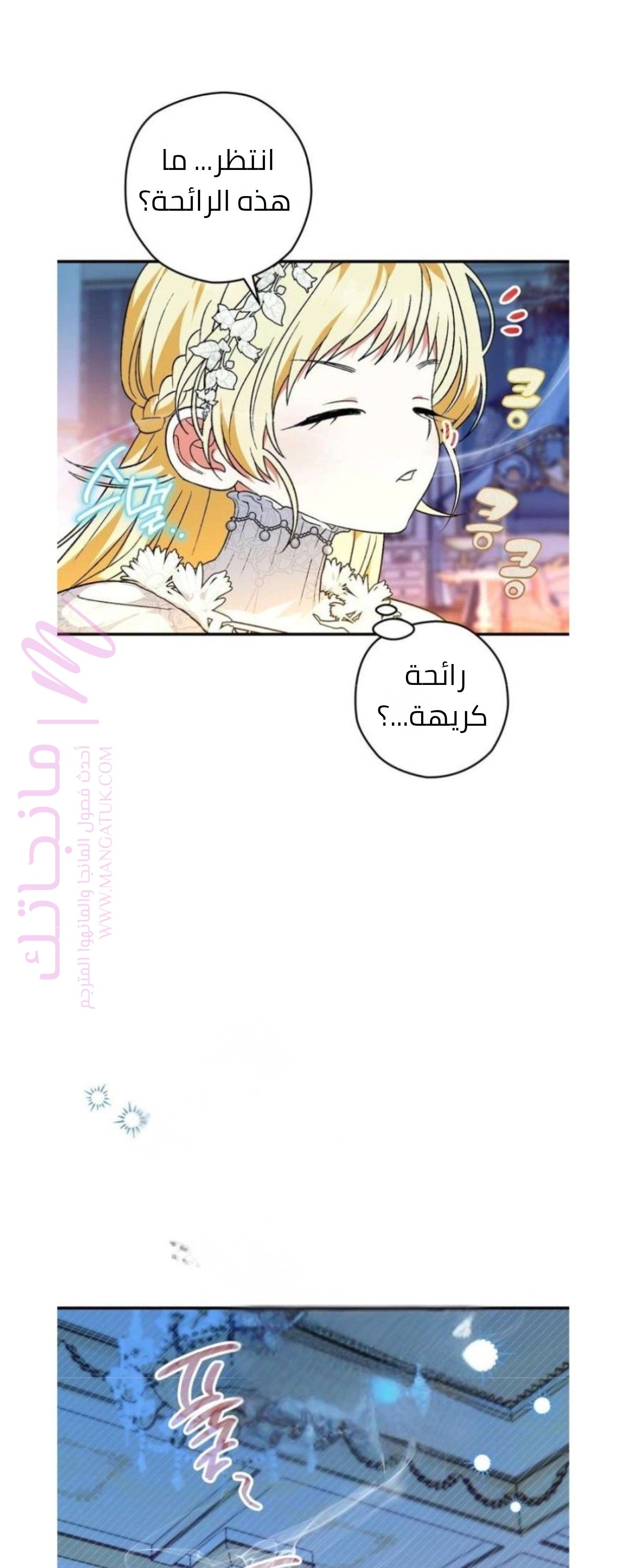 الصفحة 41