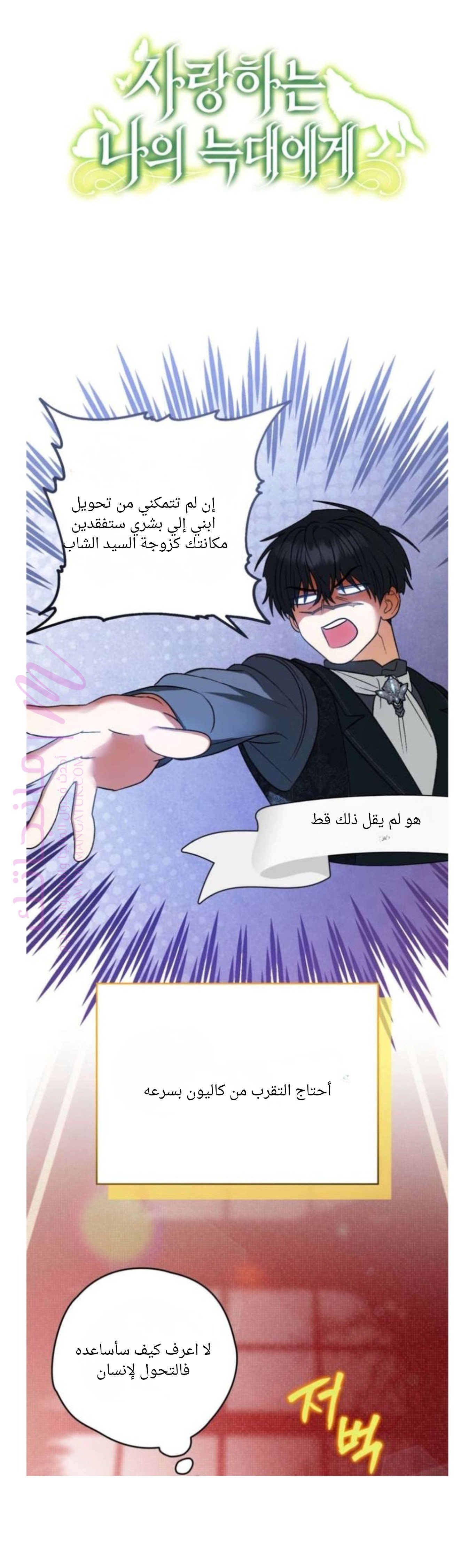 الصفحة 21