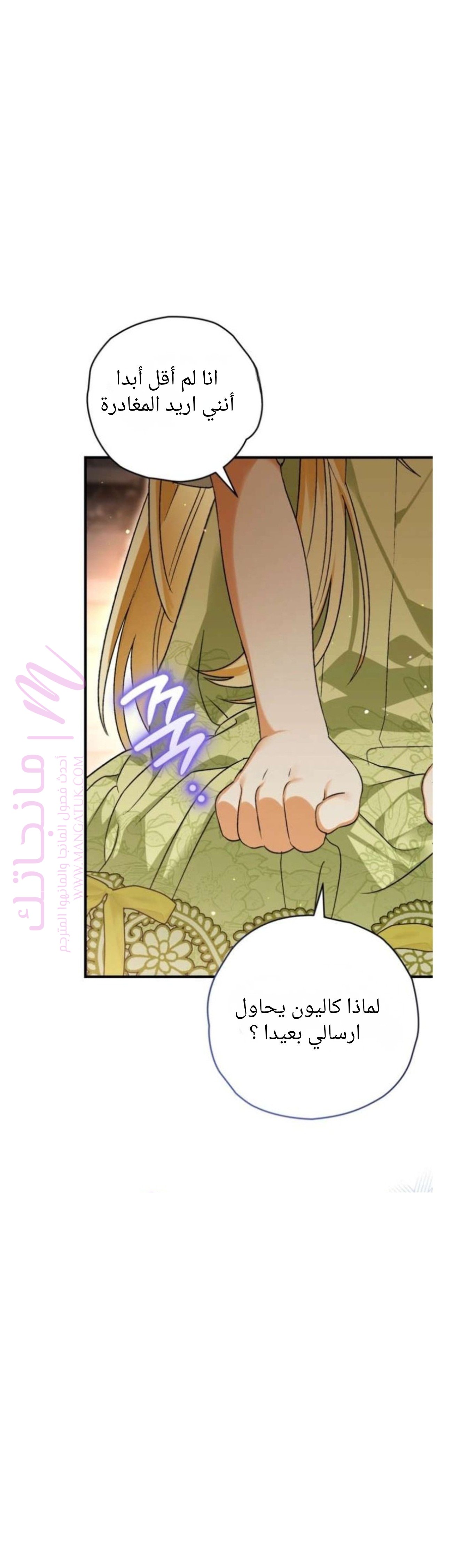 الصفحة 45