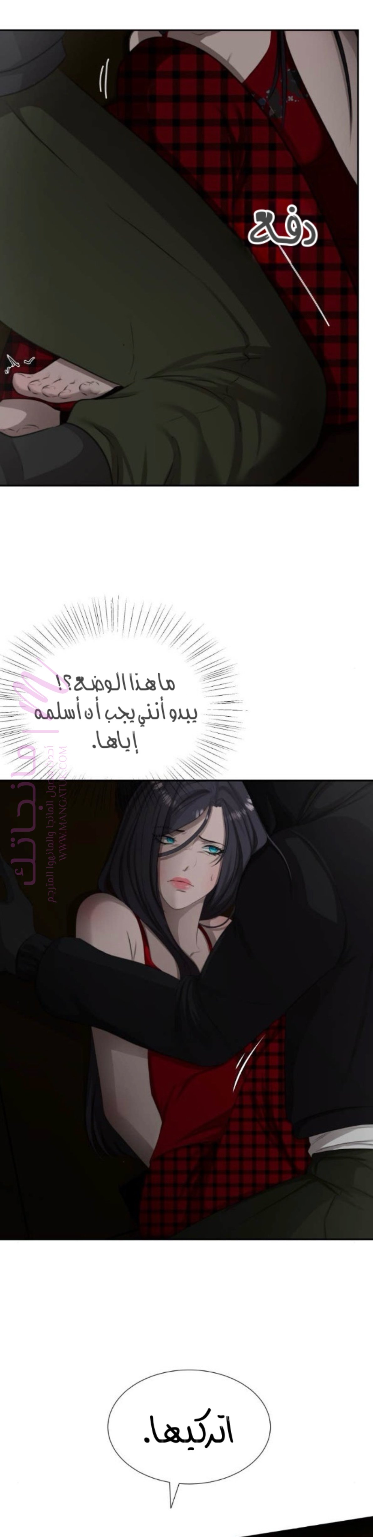 الصفحة 29