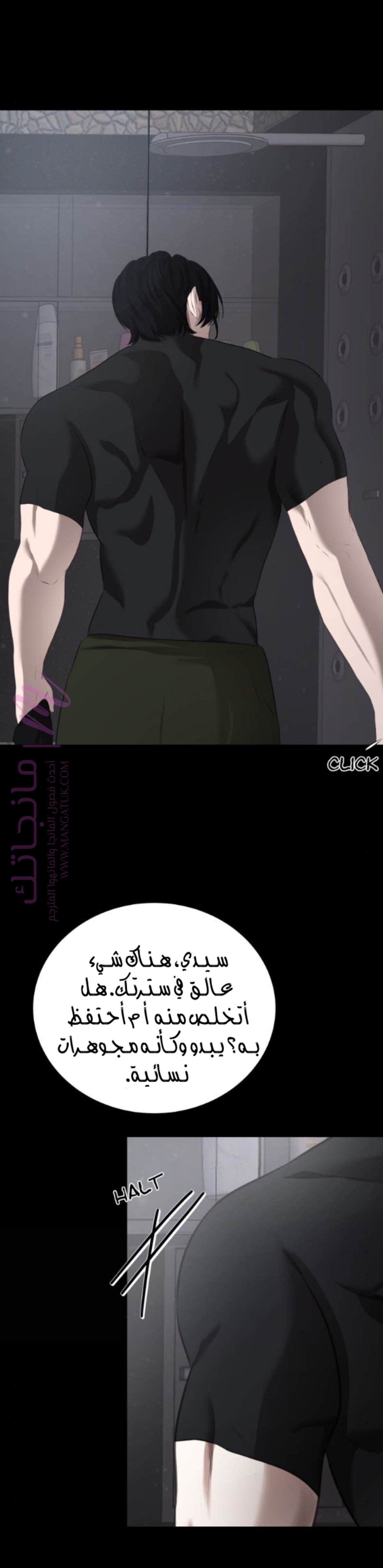 الصفحة 13