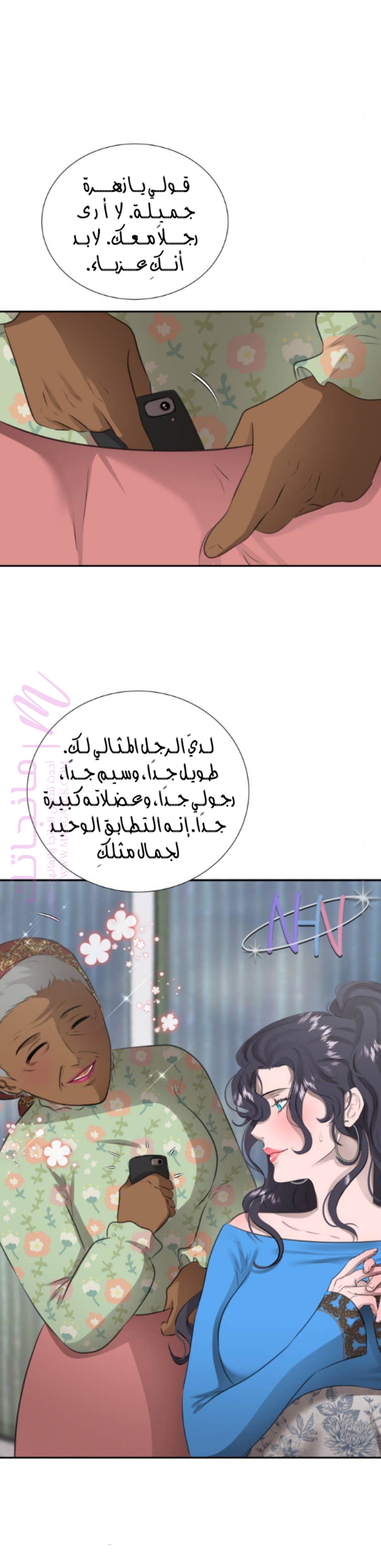 الصفحة 25