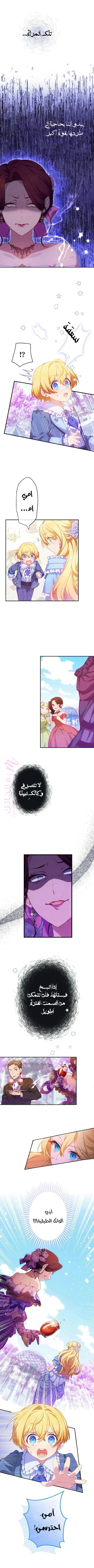 الصفحة 2