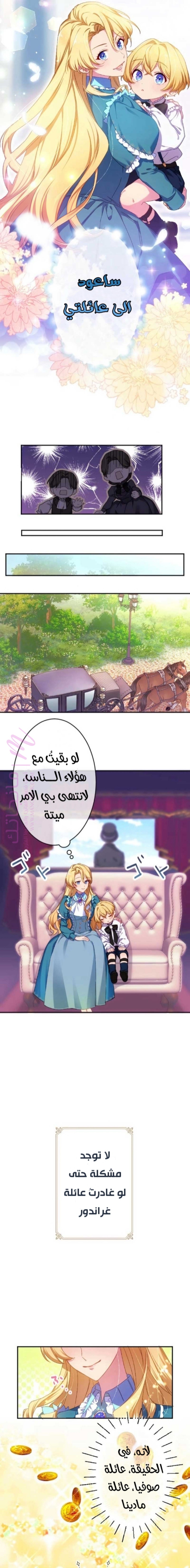 الصفحة 17