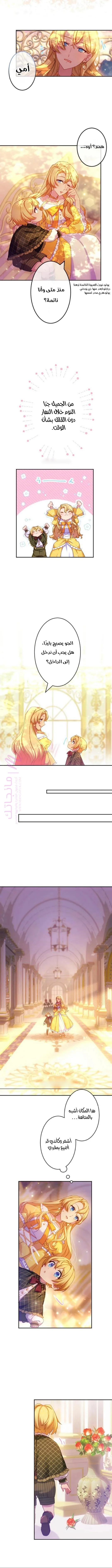 الصفحة 3