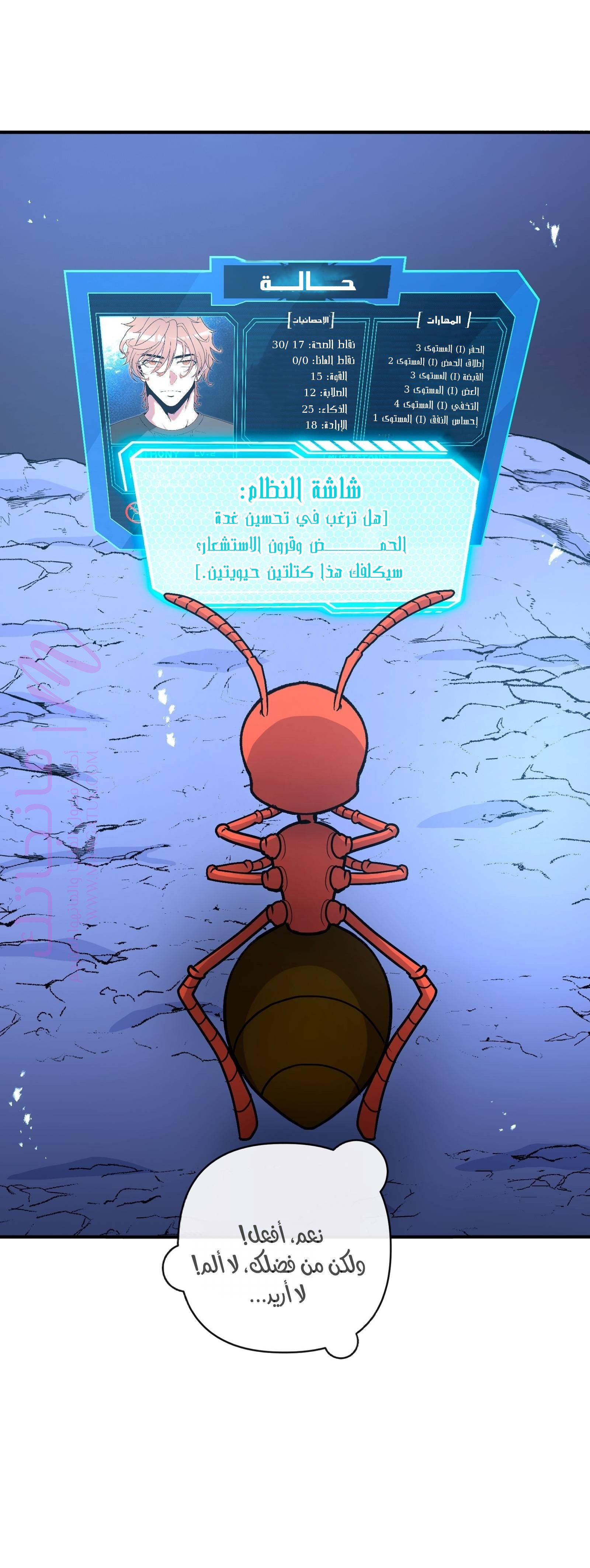 الصفحة 4