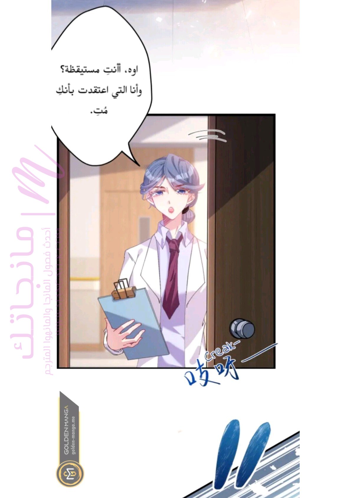 الصفحة 13