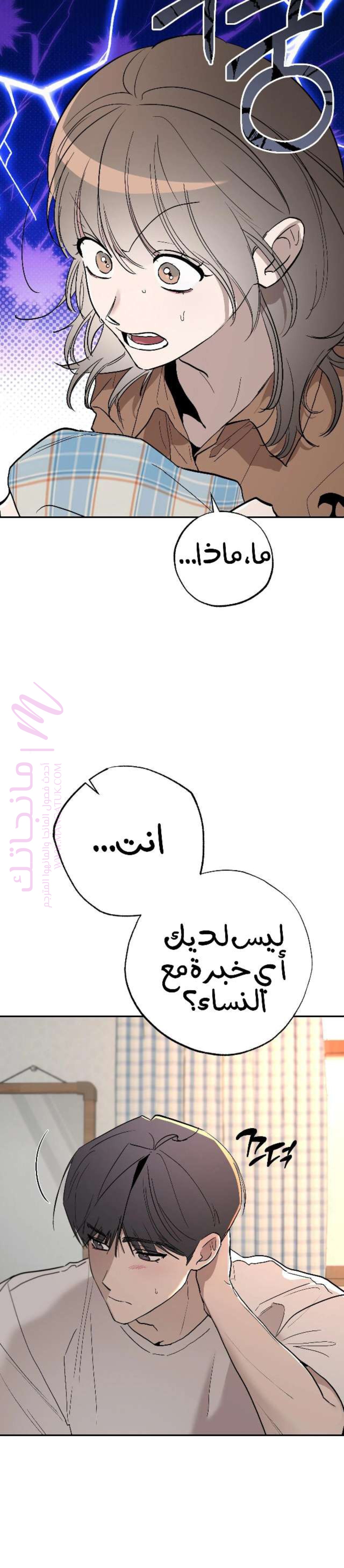 الصفحة 13